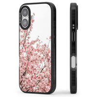 Cherry Blossom Bloom