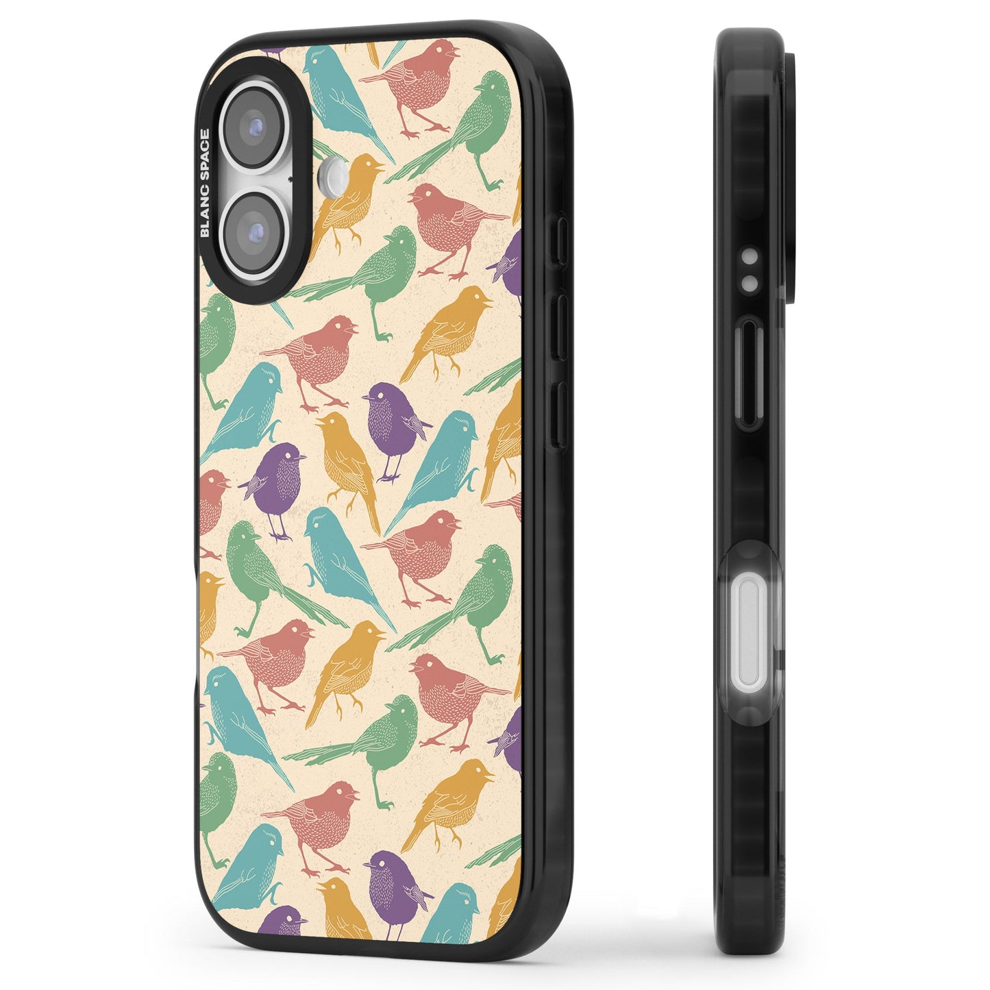 Colorful Feathered Friends