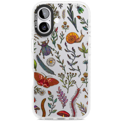 Insectes et fleurs sauvages