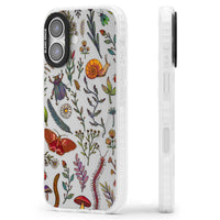 Insectes et fleurs sauvages