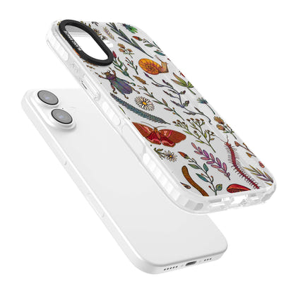 Insectes et fleurs sauvages