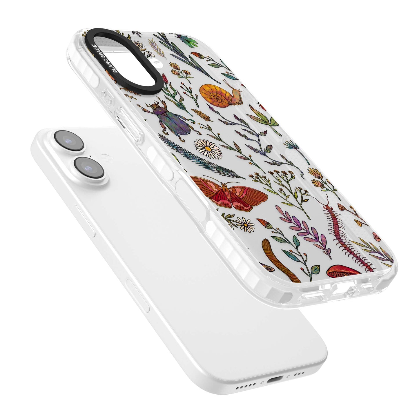 Insectes et fleurs sauvages