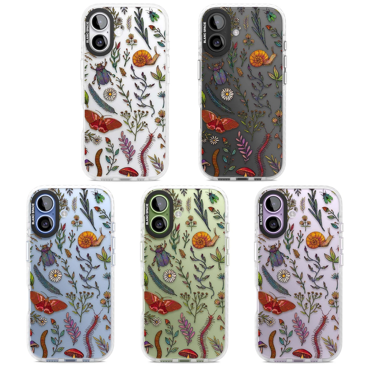 Insectes et fleurs sauvages