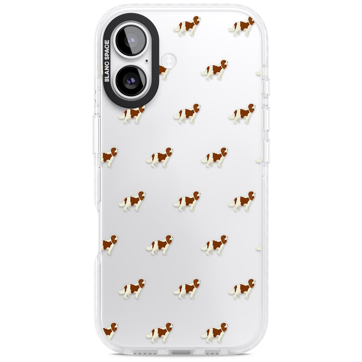 Cavalier King Charles Hundemuster