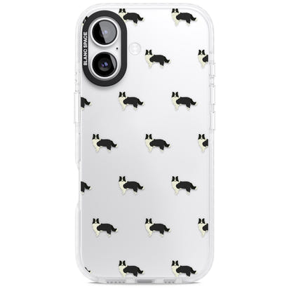 Border Collie Pattern Clear