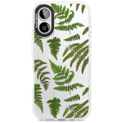 Leafy Ferns