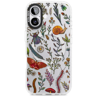 Insectes et fleurs sauvages