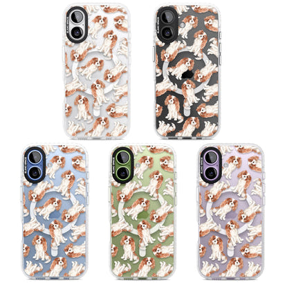 Cavalier King Charles Spaniel