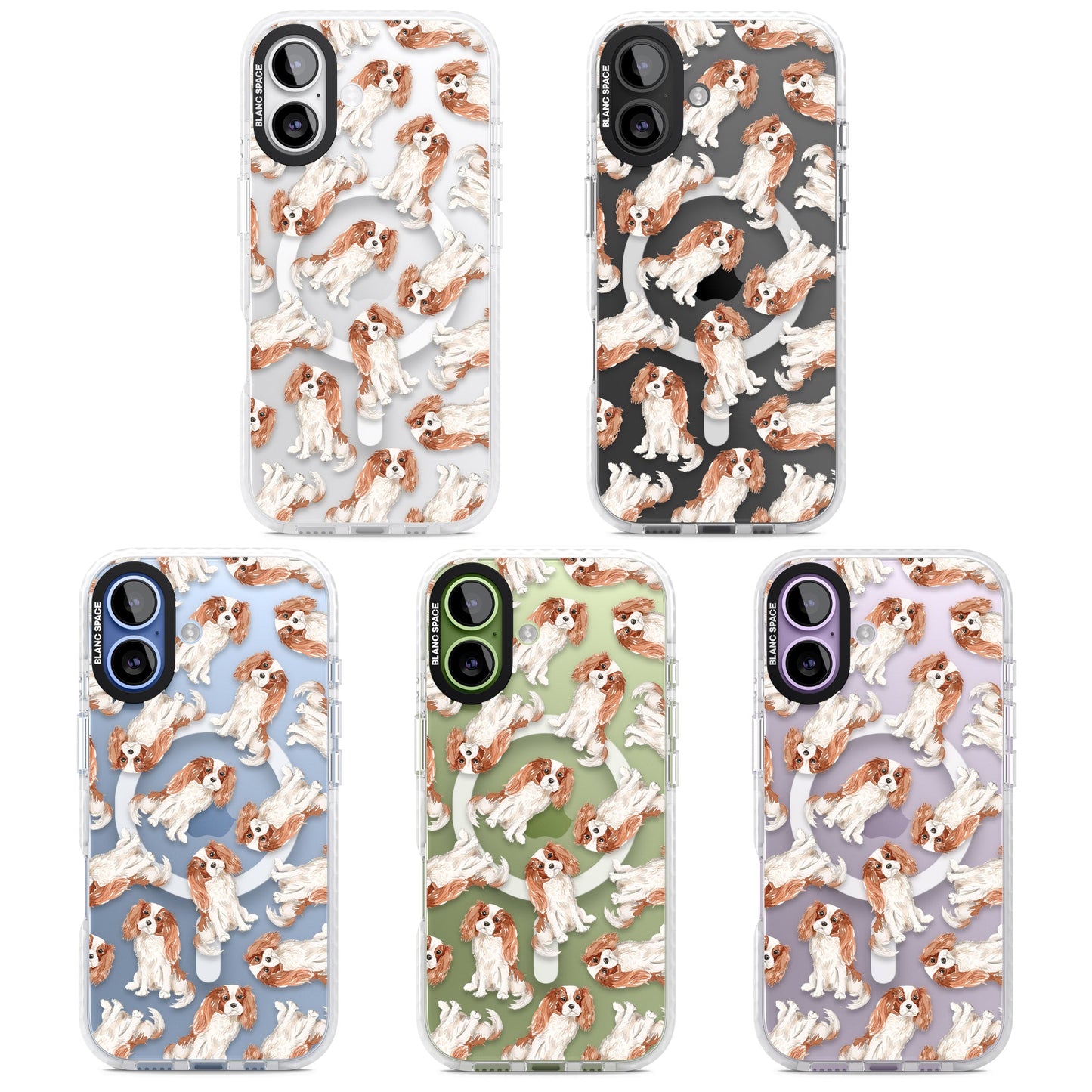 Cavalier King Charles Spaniel