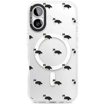Border Collie Pattern Clear