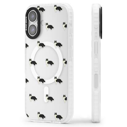 Border Collie Pattern Clear