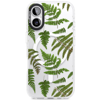 Leafy Ferns