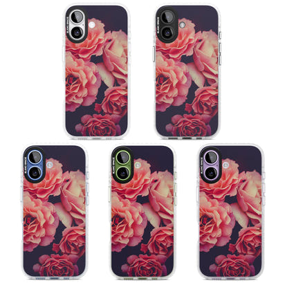 Mitternachtsrosenblüte