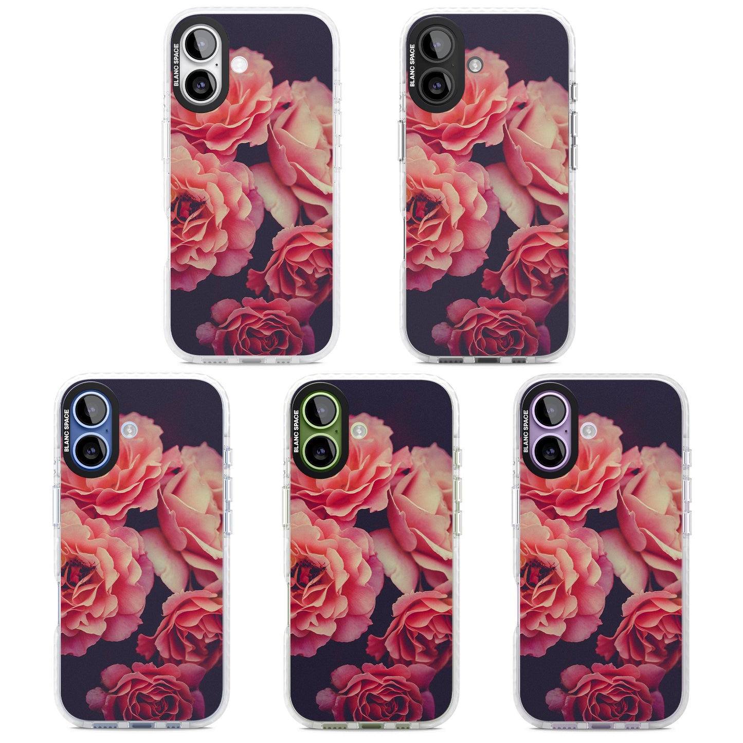 Mitternachtsrosenblüte