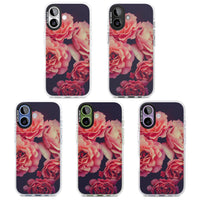 Mitternachtsrosenblüte