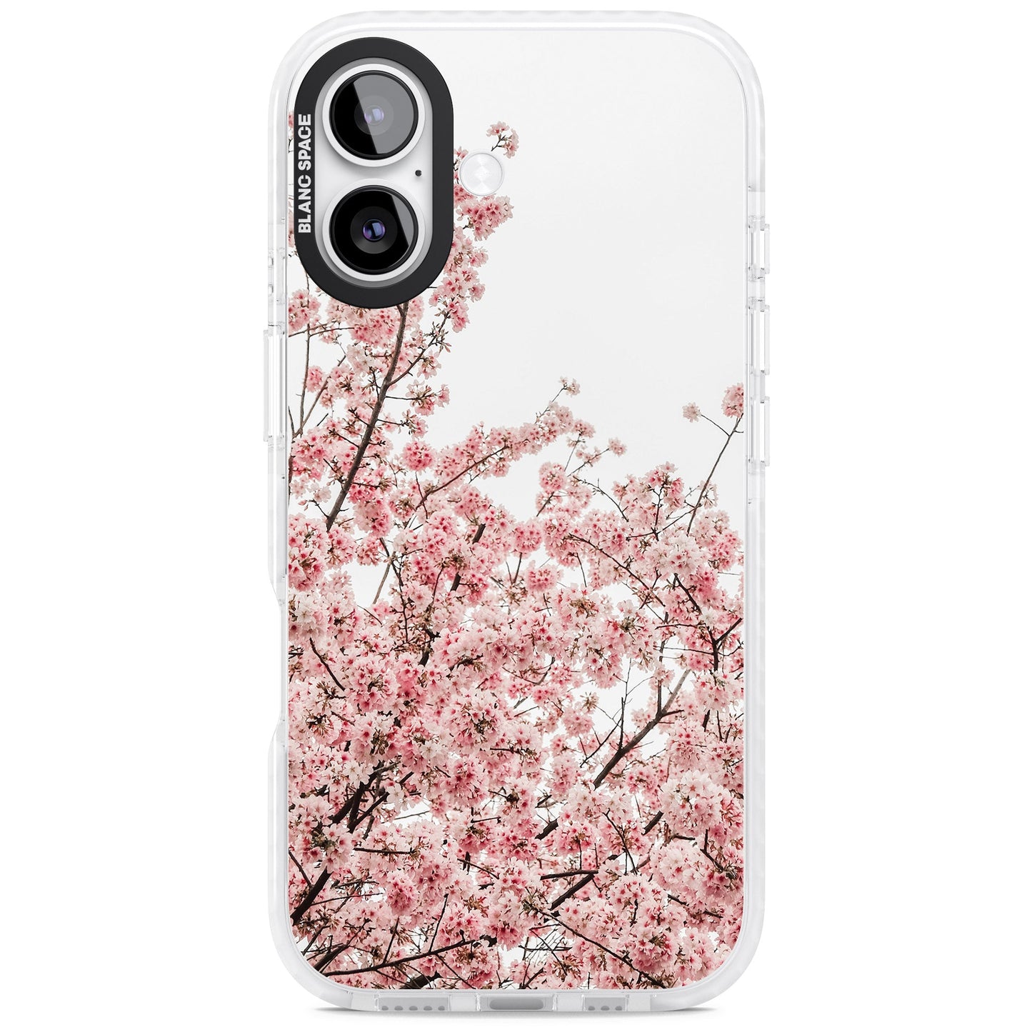 Cherry Blossom Bloom