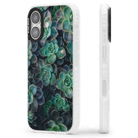 Succulent Bloom Botanical