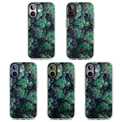 Succulent Bloom Botanical