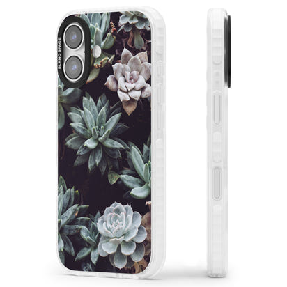 Succulent Bloom Mixed