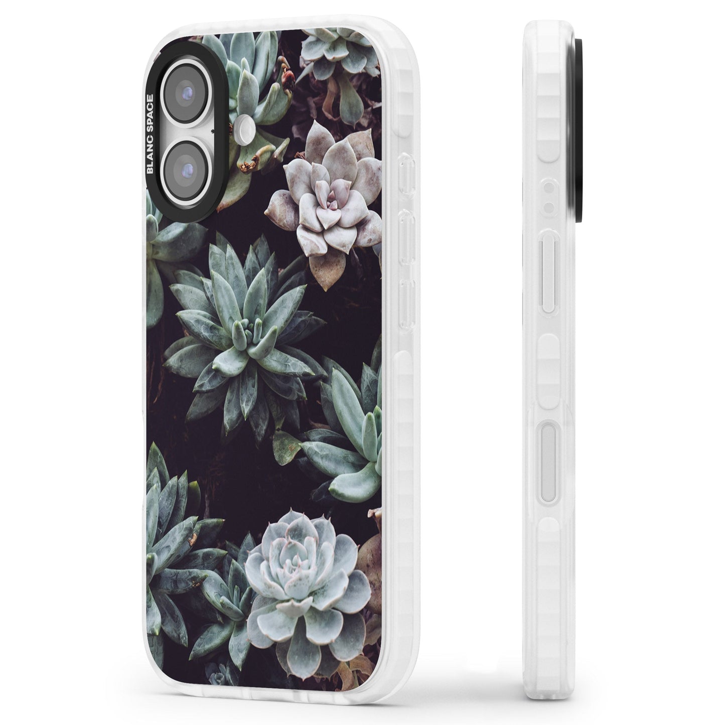 Succulent Bloom Mixed