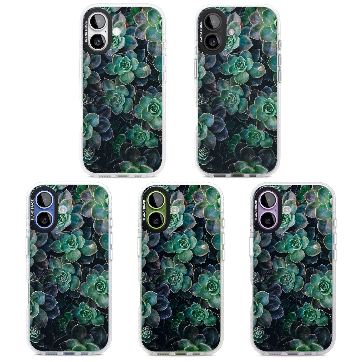 Succulent Bloom Botanical