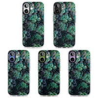 Succulent Bloom Botanical