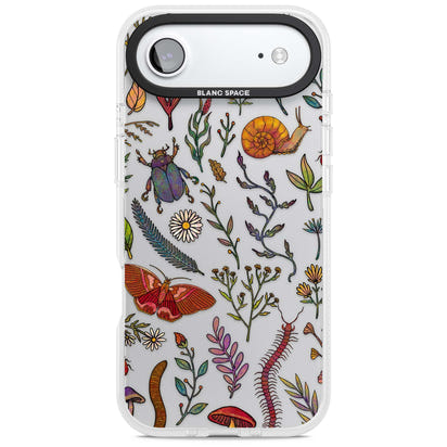 Insectes et fleurs sauvages