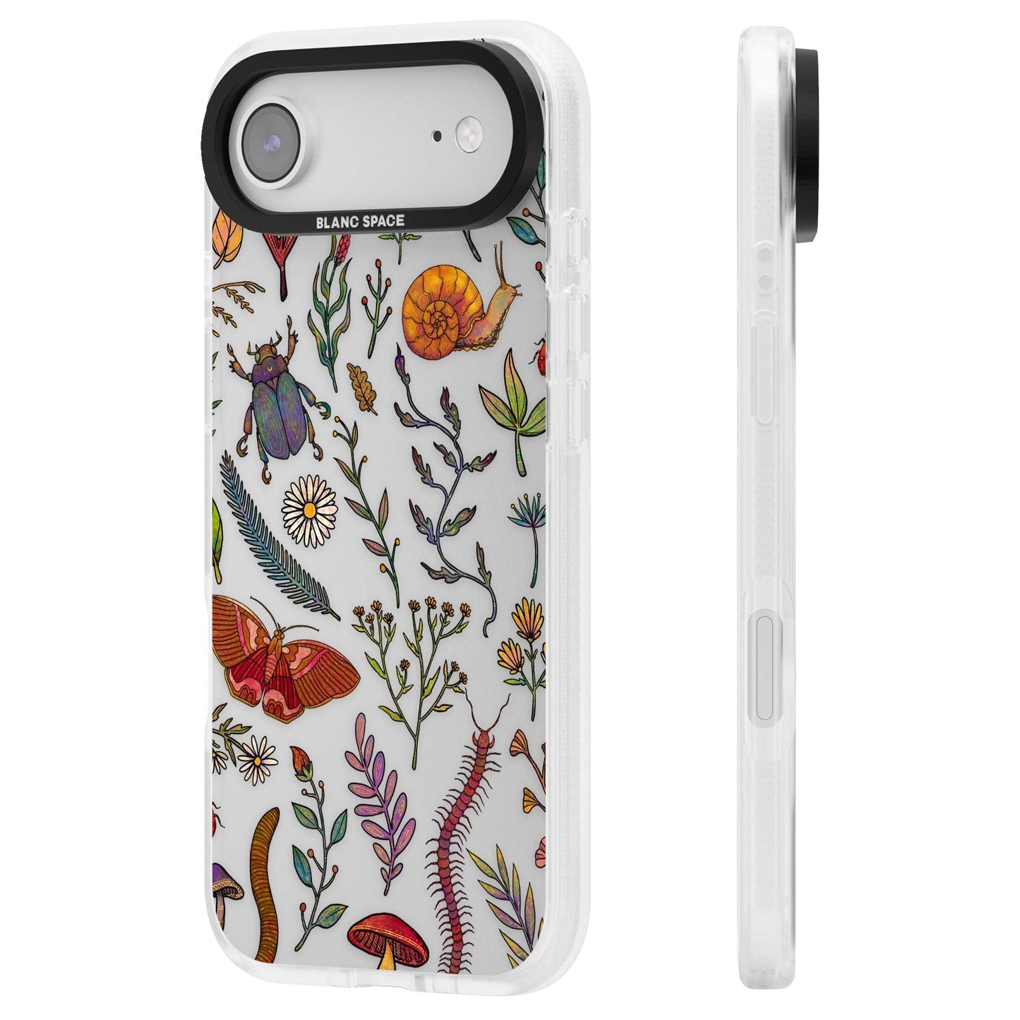 Insectes et fleurs sauvages