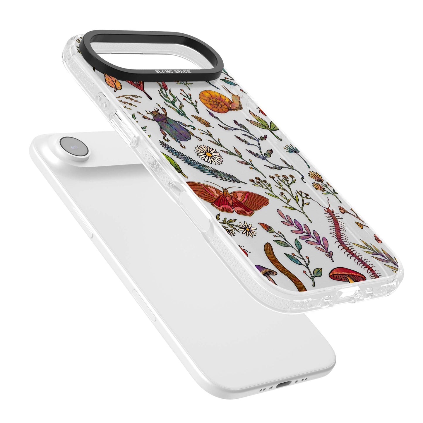 Insectes et fleurs sauvages