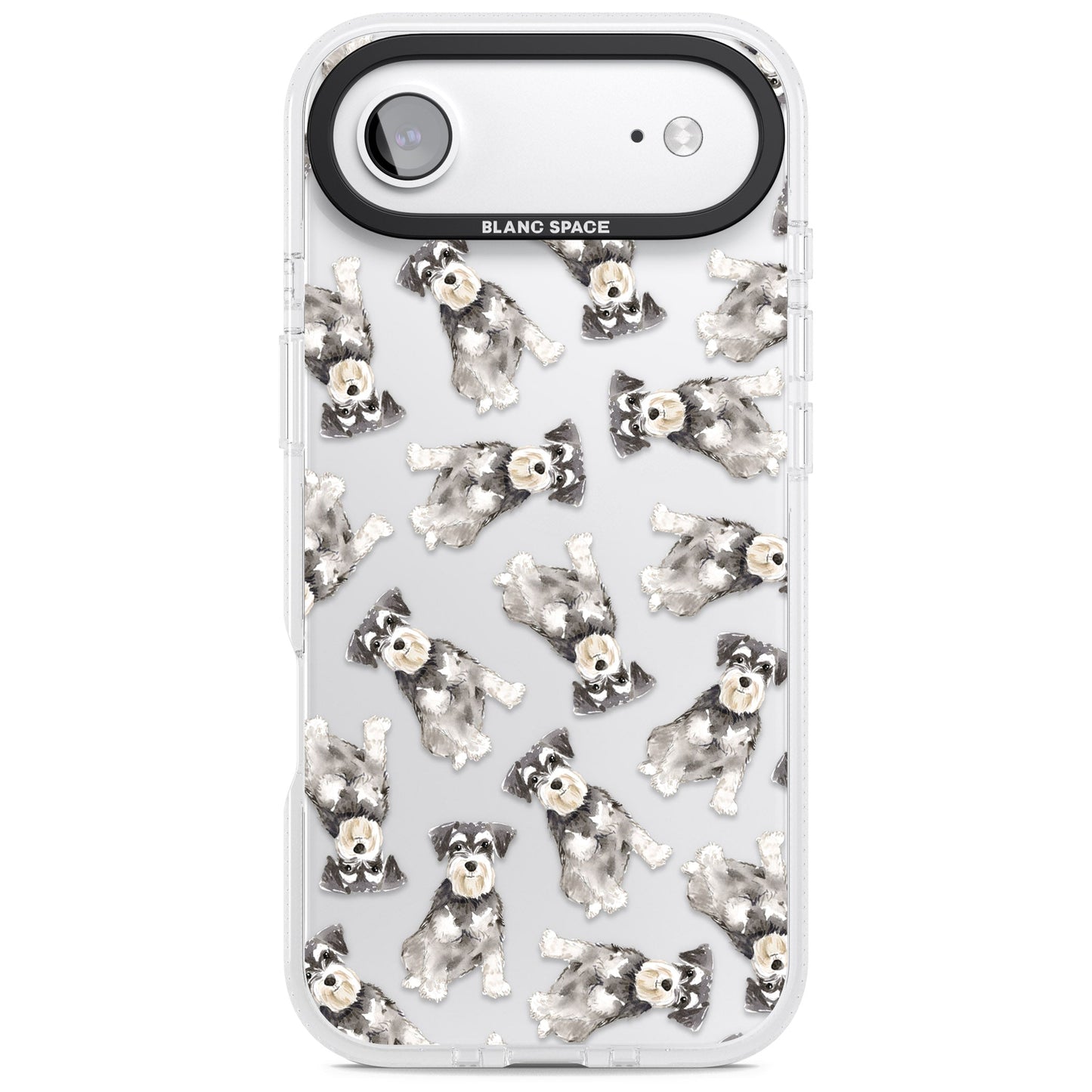 Aquarellzeichnung eines Zwergschnauzers