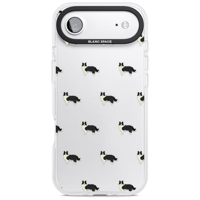 Border Collie Pattern Clear