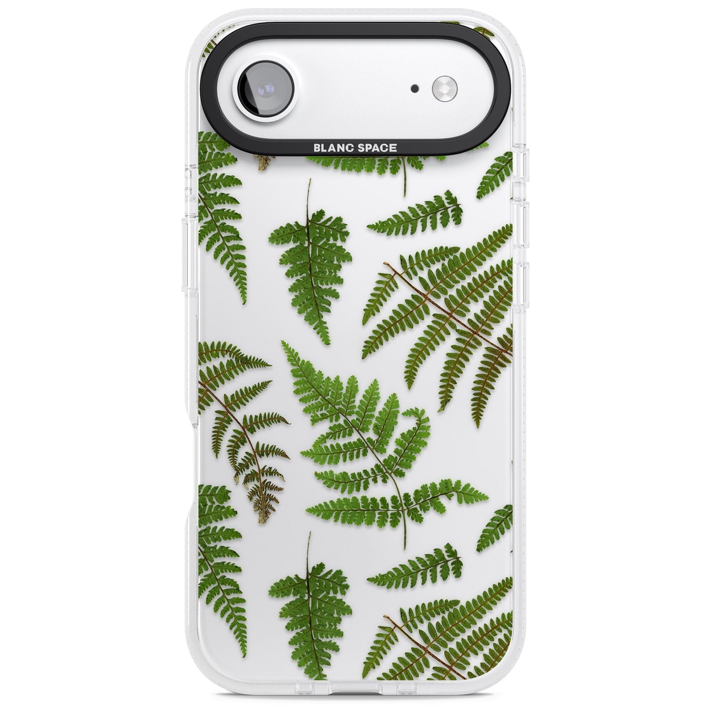 Leafy Ferns