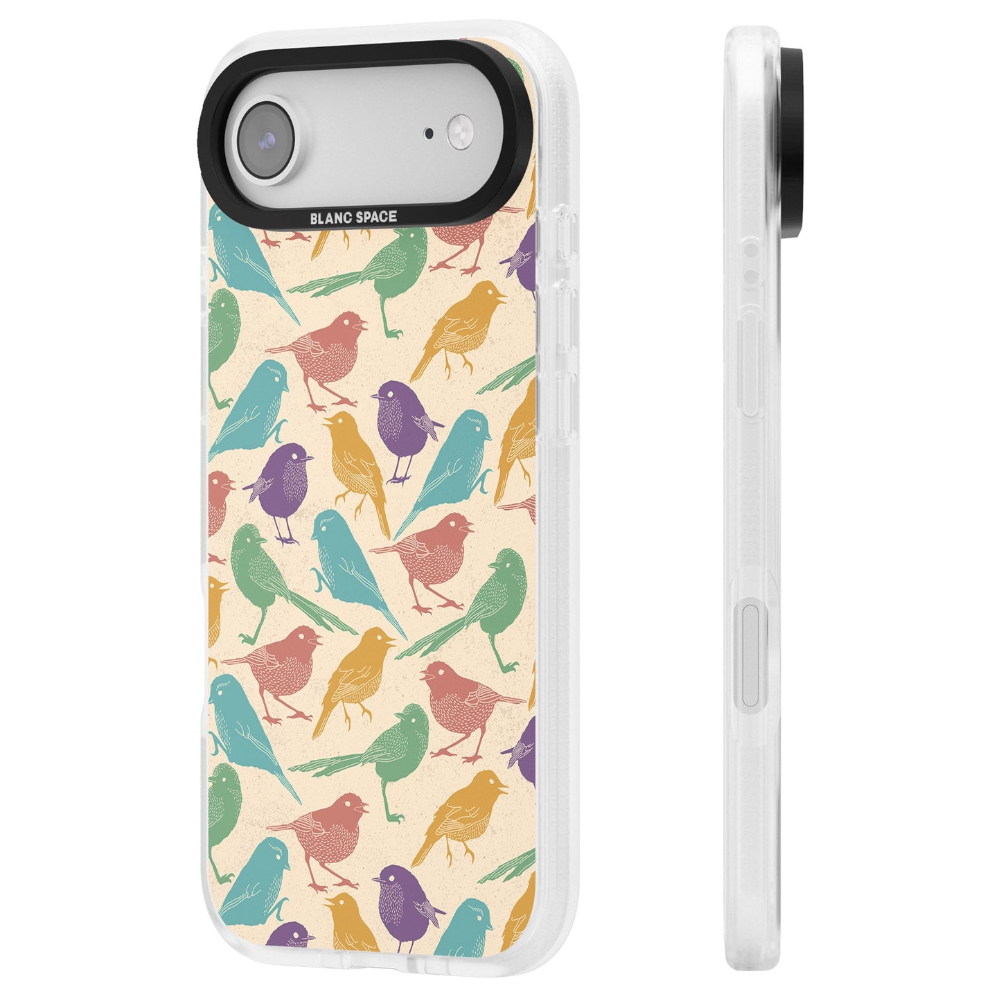 Colorful Feathered Friends