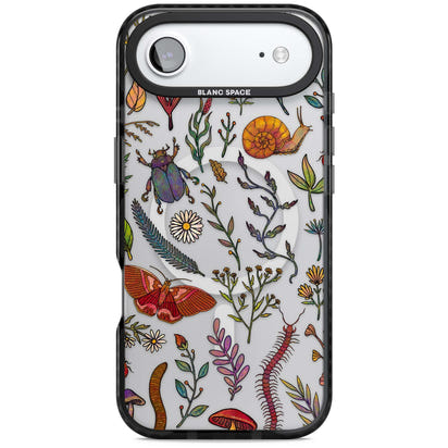 Insectes et fleurs sauvages