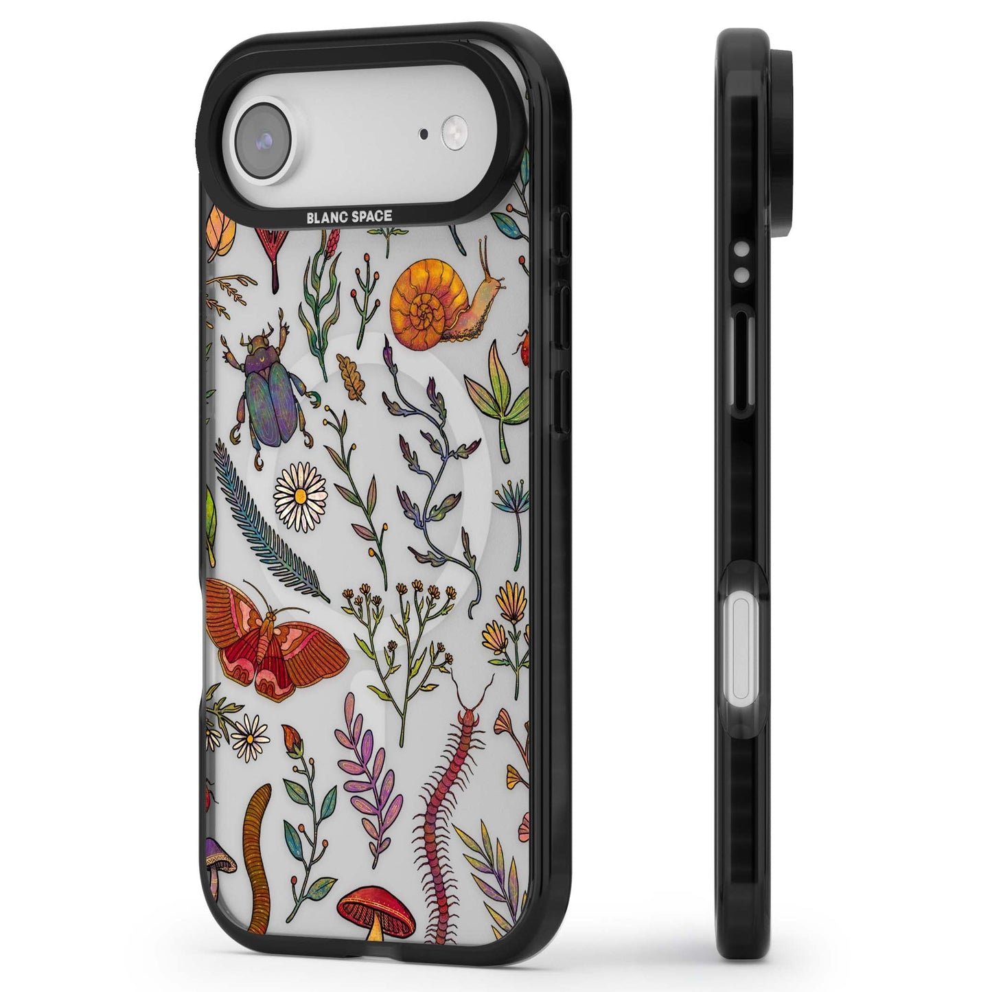 Insectes et fleurs sauvages