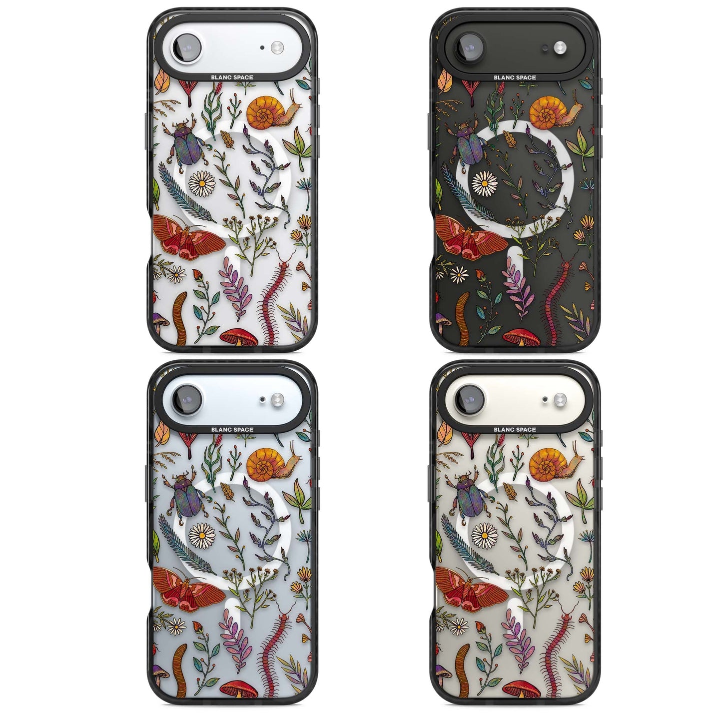 Insectes et fleurs sauvages