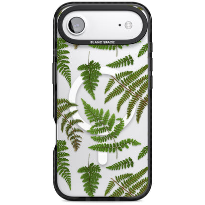 Leafy Ferns