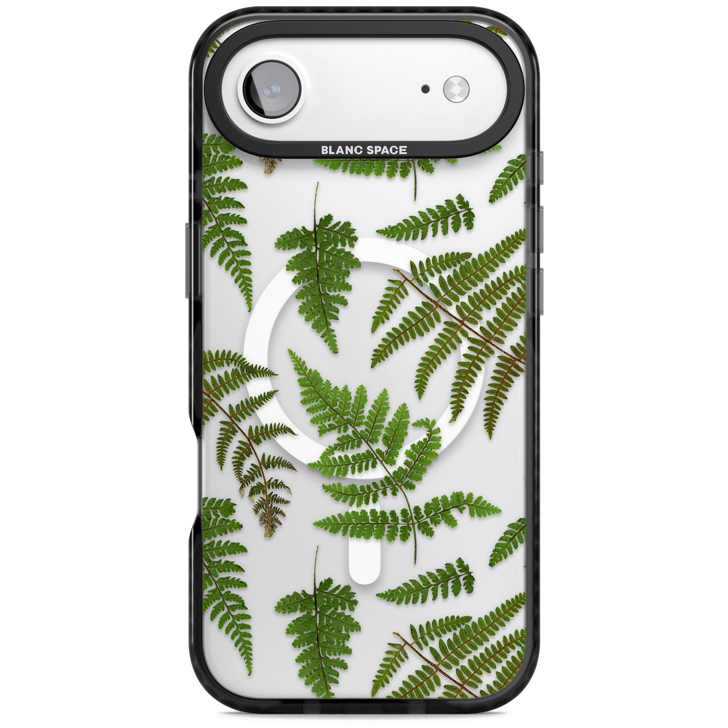 Leafy Ferns