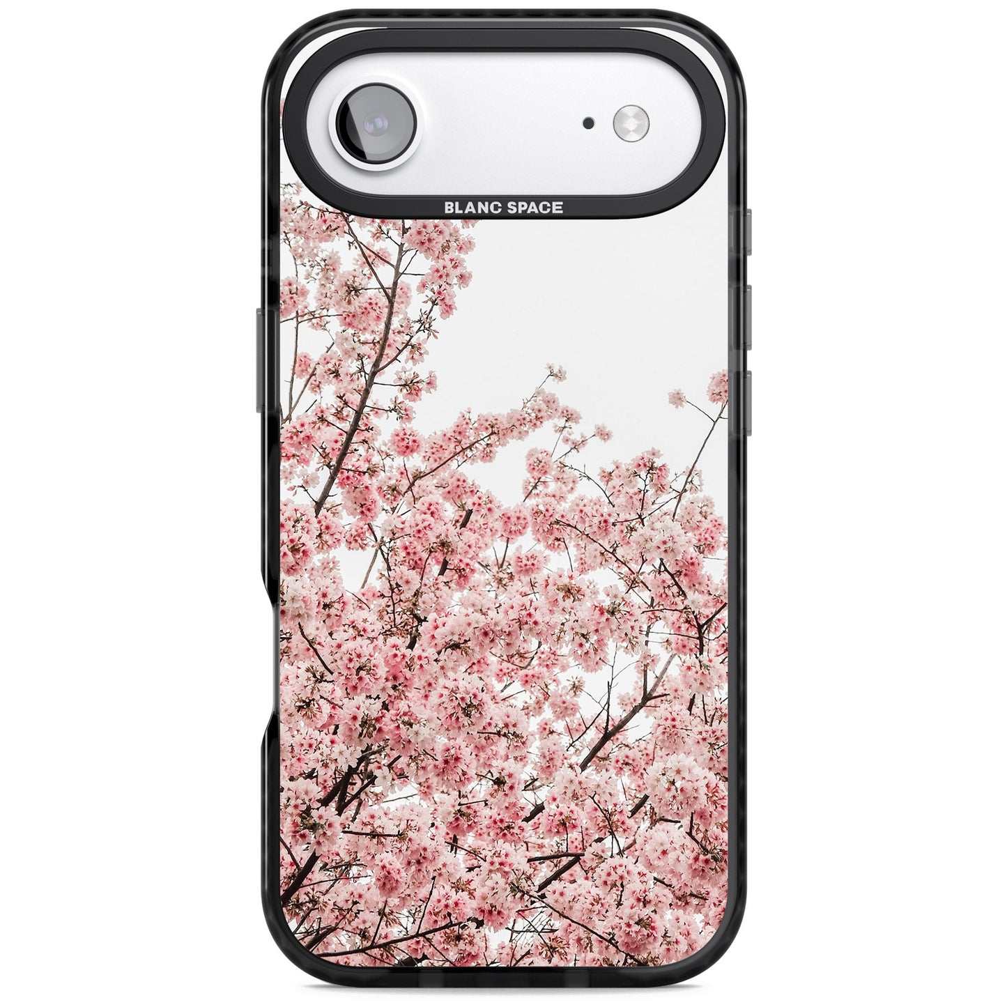 Cherry Blossom Bloom