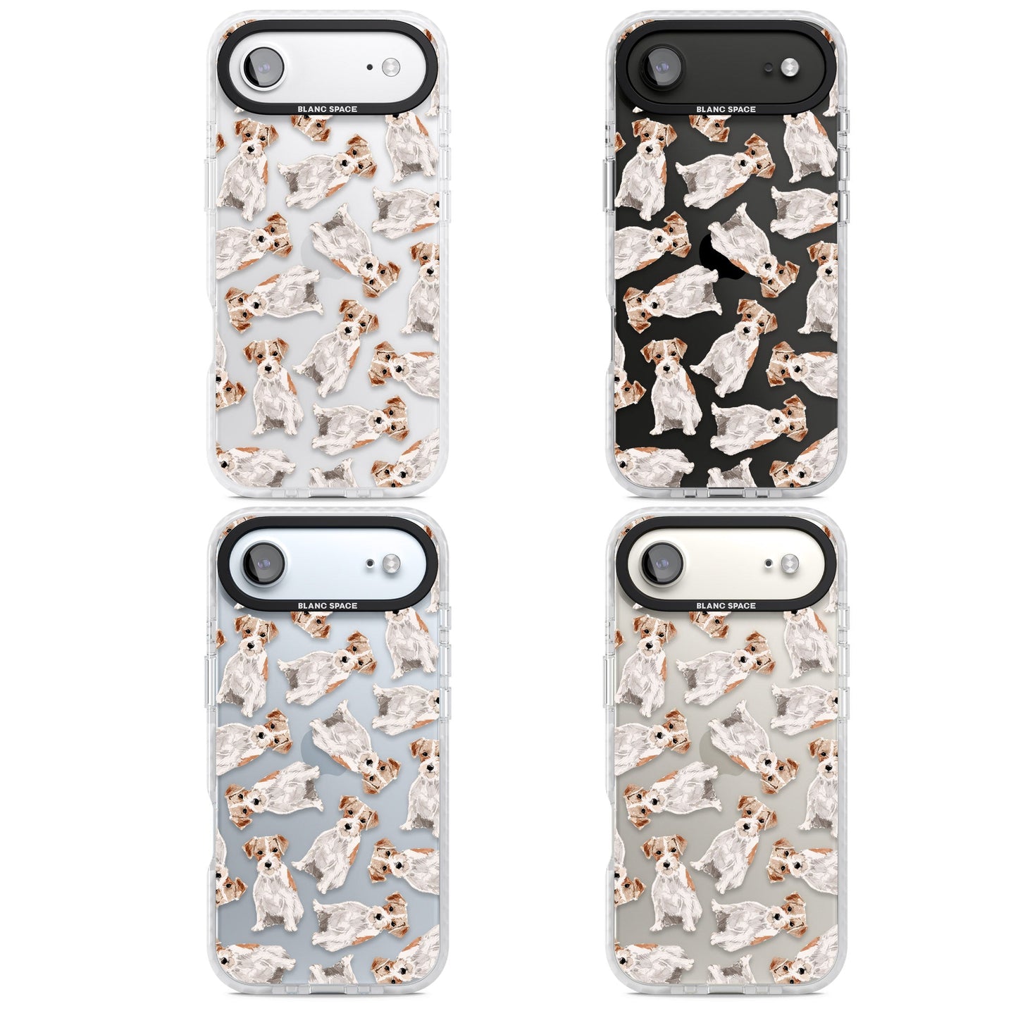 Jack Russell à poil dur fantaisiste