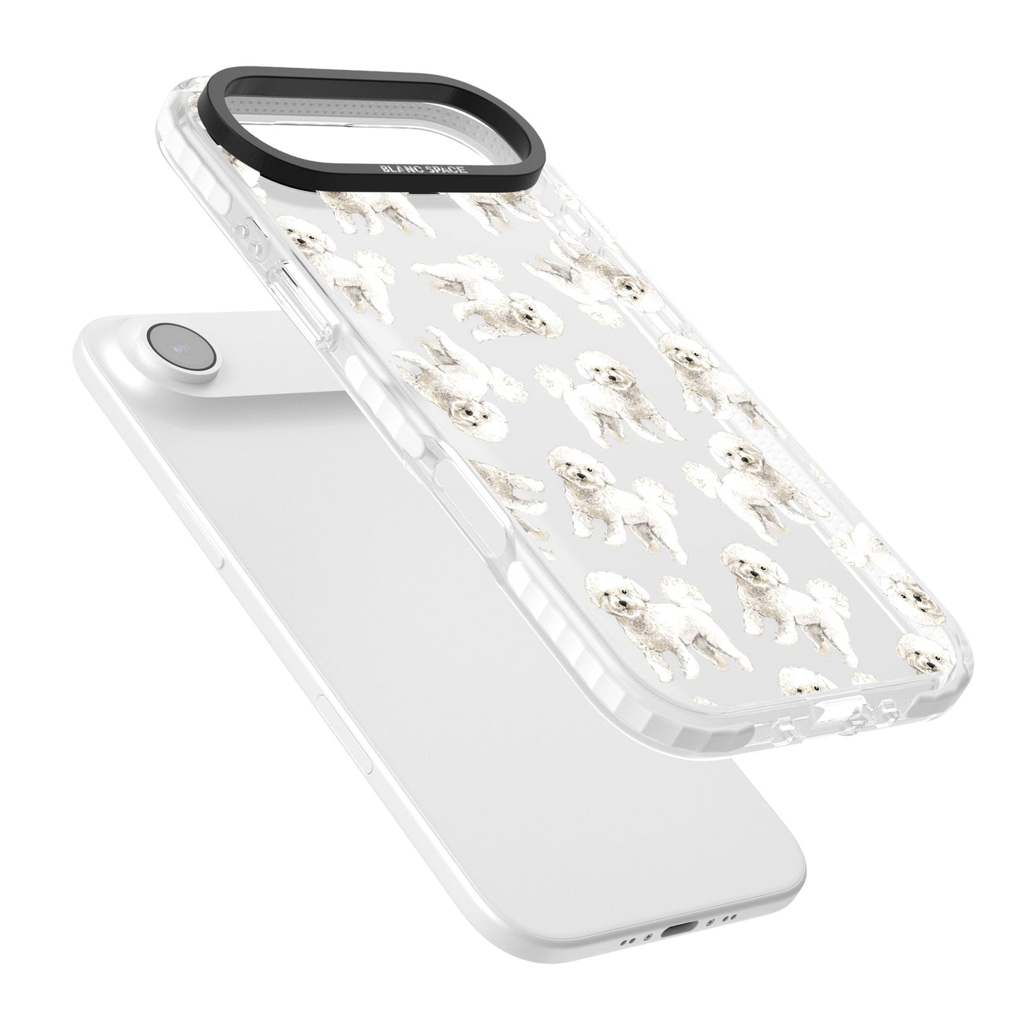 Bichon frisé aquarelle