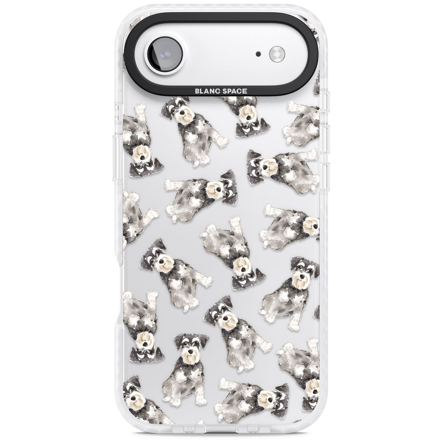 Aquarellzeichnung eines Zwergschnauzers