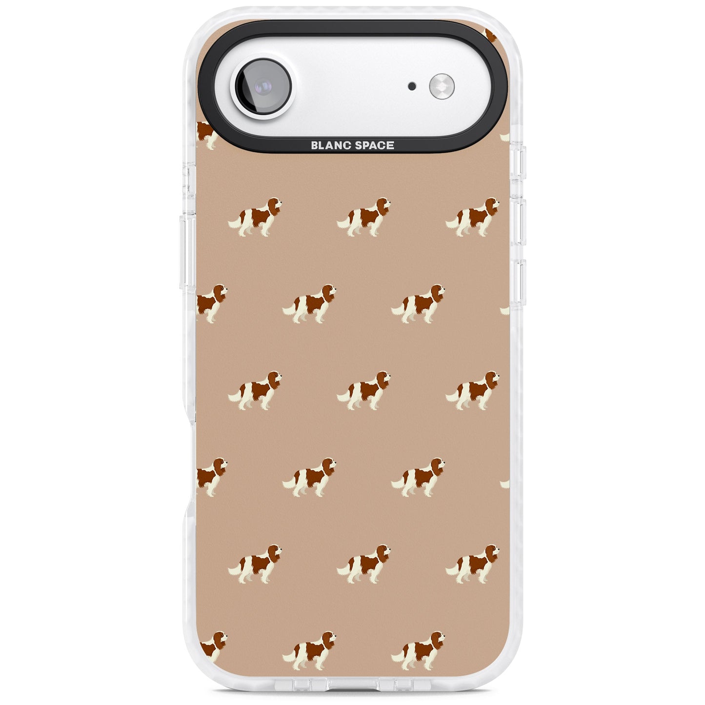 Cavalier Spaniel Pattern