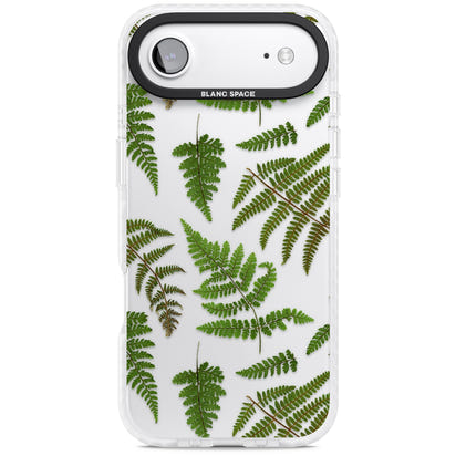 Leafy Ferns