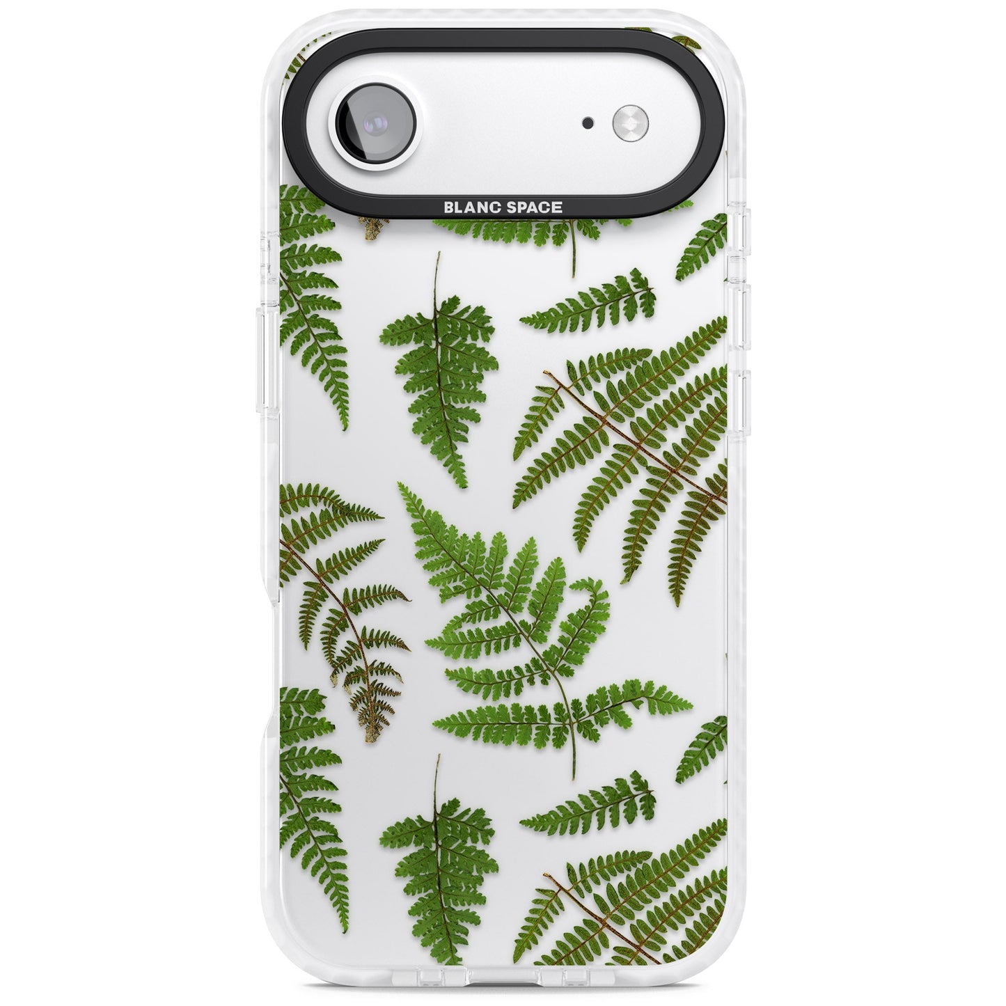 Leafy Ferns
