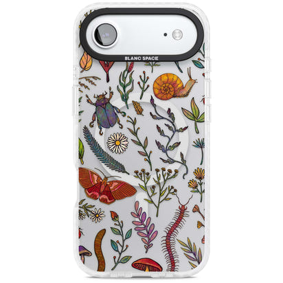 Insectes et fleurs sauvages