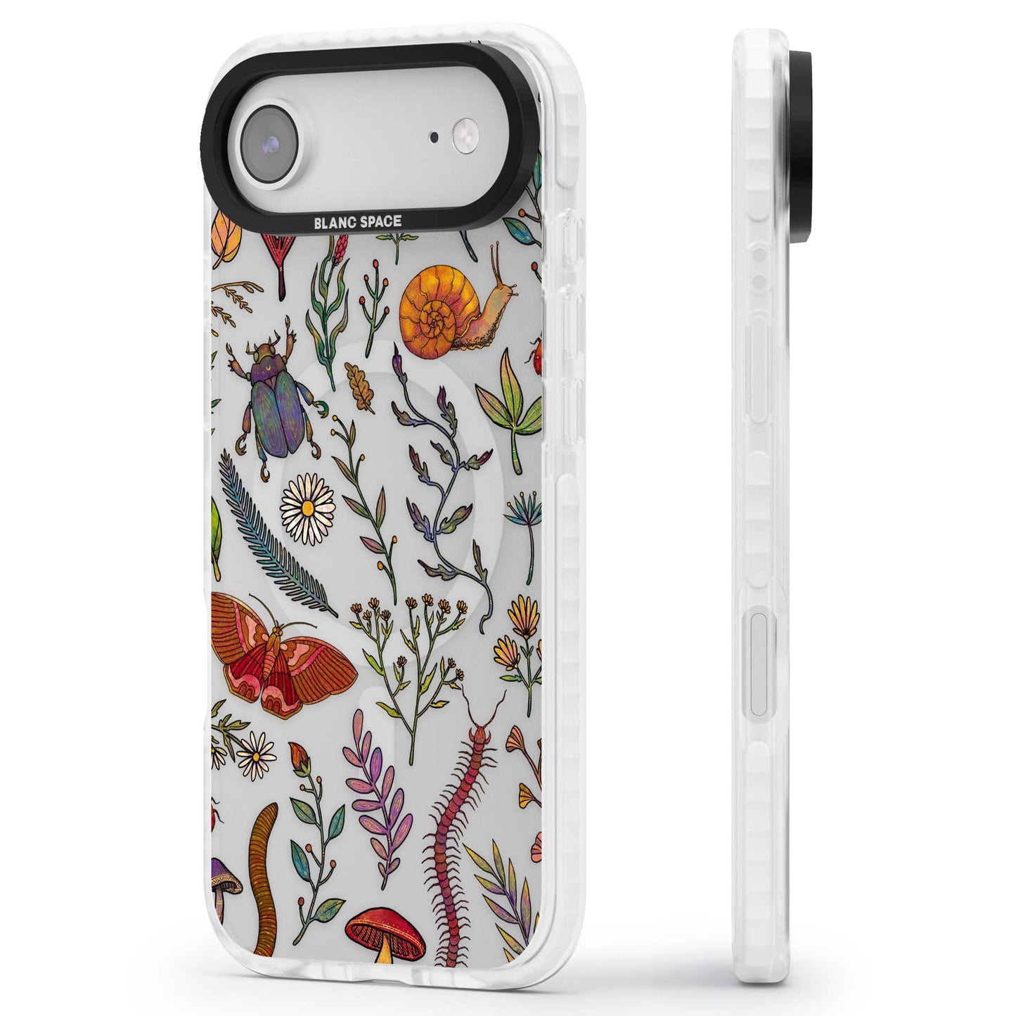 Insectes et fleurs sauvages