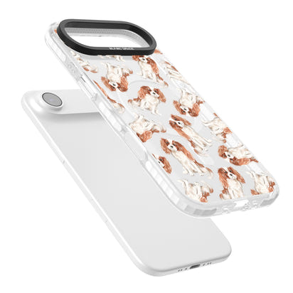 Cavalier King Charles Spaniel