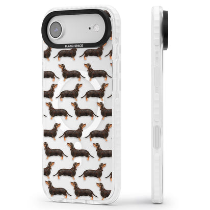 Dachshund Pattern Black Tan