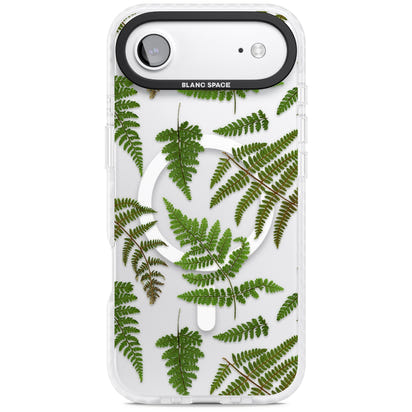 Leafy Ferns